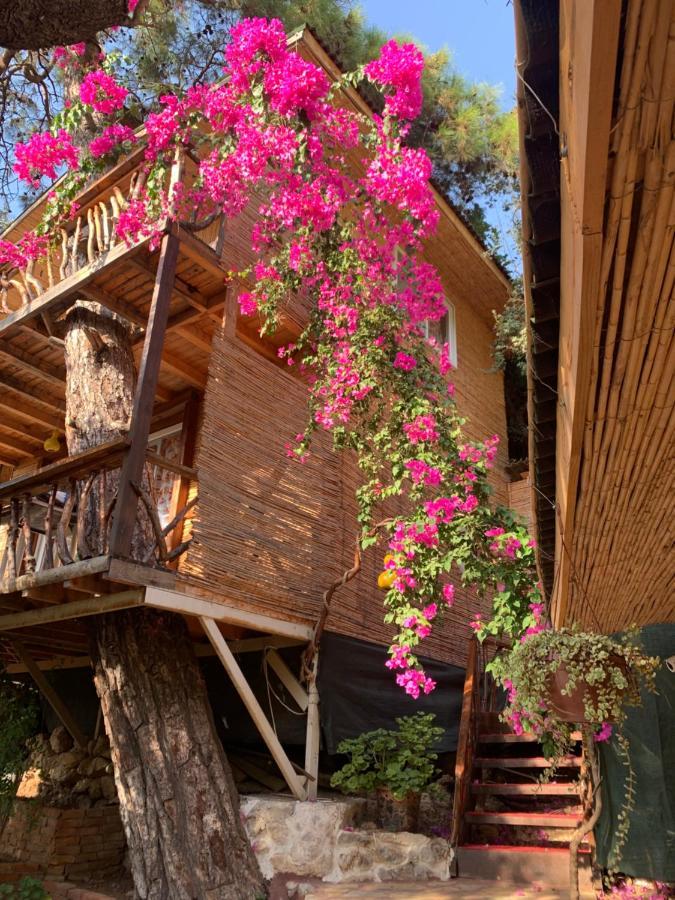 Large Bungalow With Sea View In Kabak Bay, Oeluedeniz Fethiye Luaran gambar