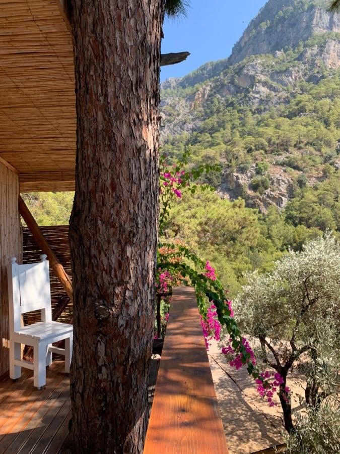 Large Bungalow With Sea View In Kabak Bay, Oeluedeniz Fethiye Luaran gambar